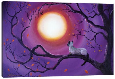 Siamese Cat In Purple Moonlight Canvas Art Print - Siamese Cat Art