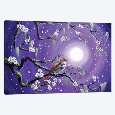 Singing Her Melody To The Night Canvas Print #LAI88} by Laura Iverson Canvas Artwork