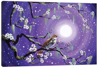 Singing Her Melody To The Night Canvas Art Print - Cherry Blossom Art