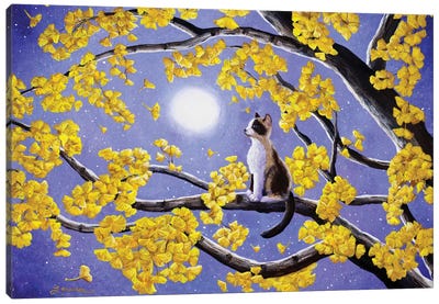 Snowshoe Siamese Kitten In Gingko Leaves Canvas Art Print - Laura Iverson