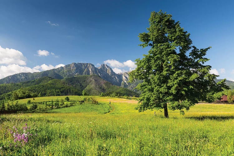 Poland, Tatra Mountains, Giewont