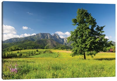 Poland, Tatra Mountains, Giewont Canvas Art Print - Poland