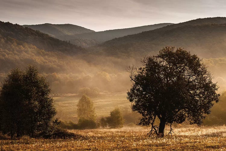 Bieszczady, Poland