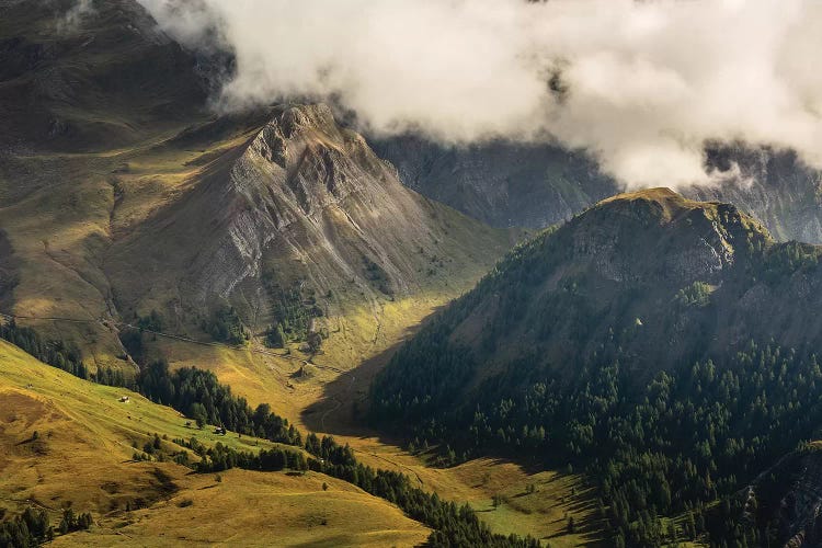 Italy, Alps, Dolomites, Col Margherita Park VI