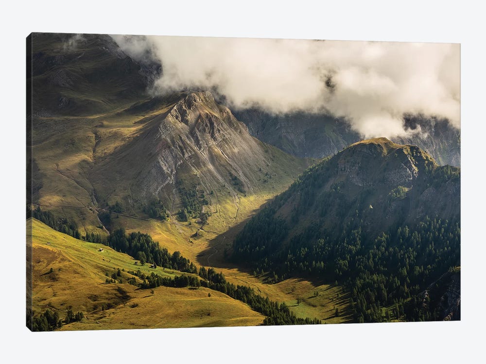 Italy, Alps, Dolomites, Col Margherita Park VI 1-piece Canvas Print
