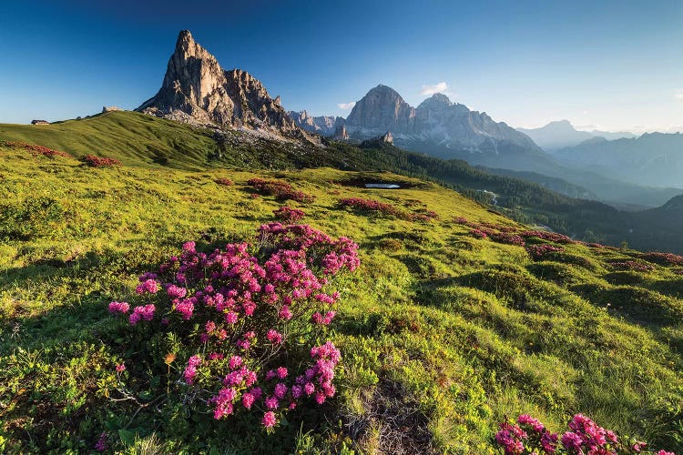 Italy, Alps, Dolomites, Mountains, Veneto, Belluno, Giau Pass - La Gusela