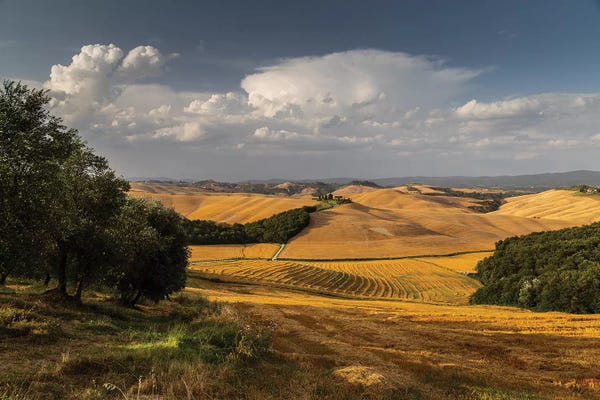 Tuscany: Italy, Tuscany, Province of Siena, Crete Senesi I by Mikolaj Gospodarek