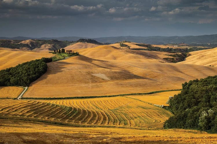 Italy, Tuscany, Province of Siena, Crete Senesi II