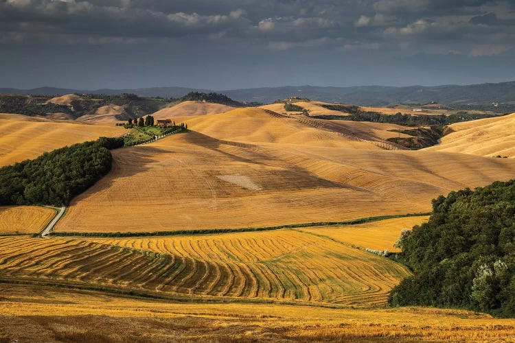 Italy, Tuscany, Province of Siena, Crete Senesi II by Mikolaj Gospodarek wall art