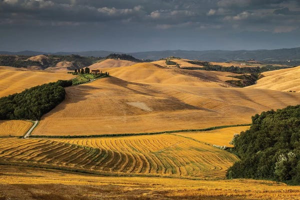 Siena: Italy, Tuscany, Province of Siena, Crete Senesi II by Mikolaj Gospodarek