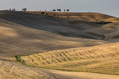 Italy, Tuscany, Province of Siena, Crete Senesi III by Mikolaj Gospodarek multi panel art