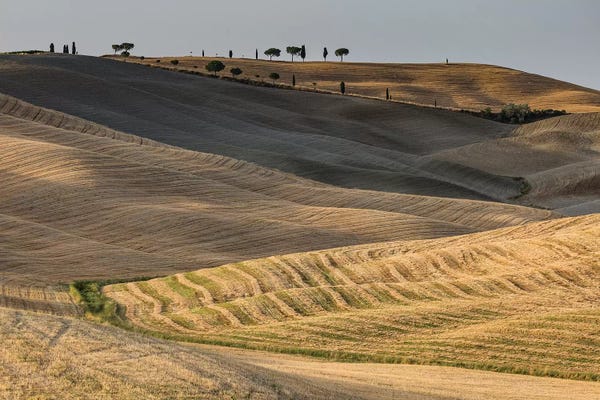 Siena: Italy, Tuscany, Province of Siena, Crete Senesi III by Mikolaj Gospodarek