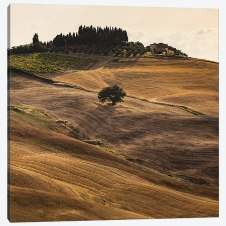 Italy, Tuscany, Province of Siena, Crete Senesi V Canvas Print #LAJ190} by Mikolaj Gospodarek Canvas Artwork