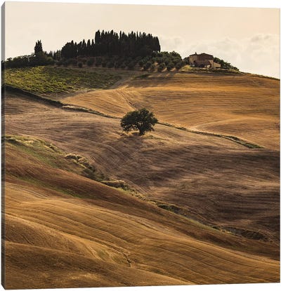 Italy, Tuscany, Province of Siena, Crete Senesi V Canvas Art Print