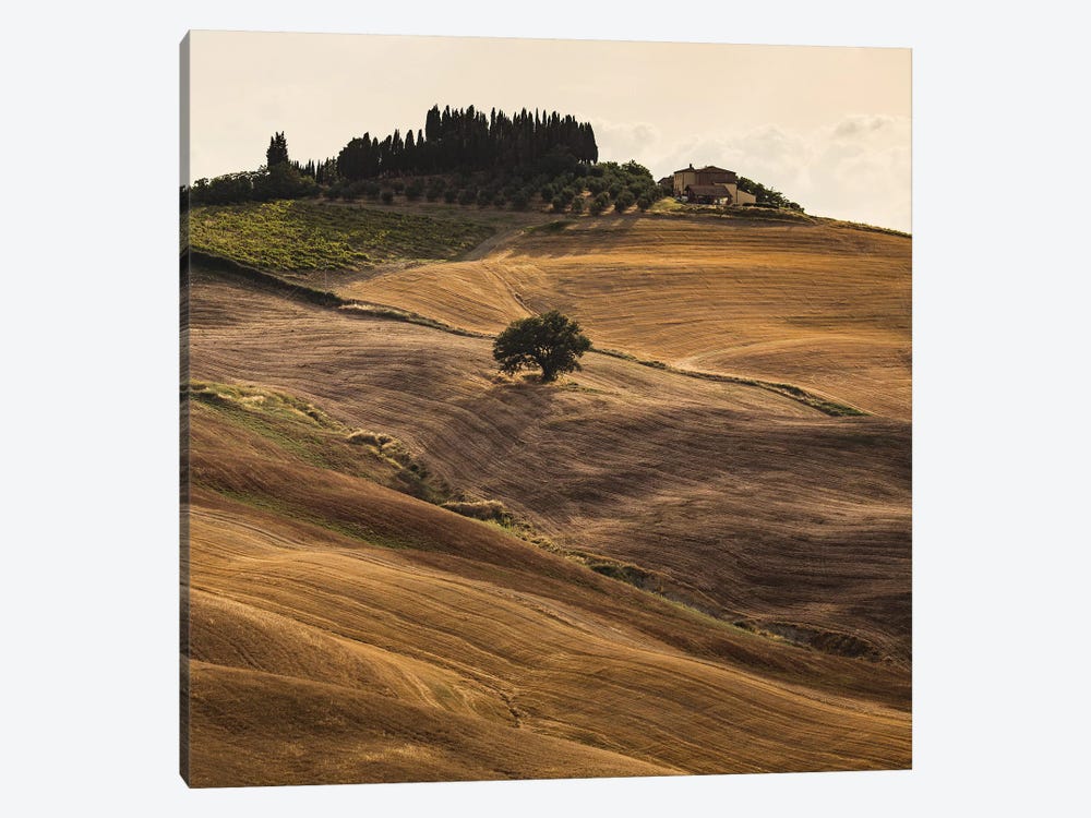 Italy, Tuscany, Province of Siena, Crete Senesi V by Mikolaj Gospodarek 1-piece Canvas Art Print