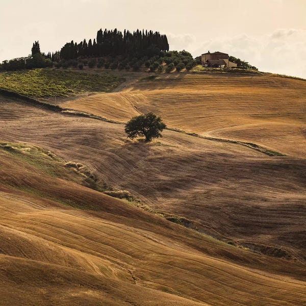 Siena: Italy, Tuscany, Province of Siena, Crete Senesi V by Mikolaj Gospodarek