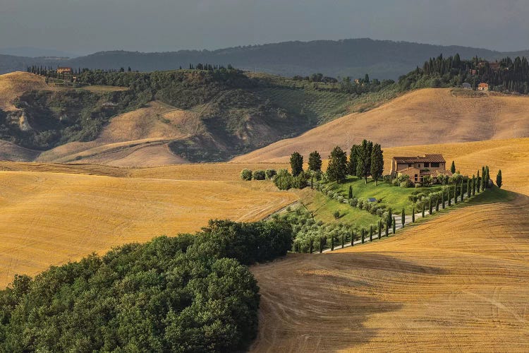 Italy, Tuscany, Province of Siena, Crete Senesi VI by Mikolaj Gospodarek wall art