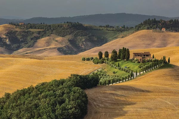 Mediterranean Décor: Italy, Tuscany, Province of Siena, Crete Senesi VI by Mikolaj Gospodarek
