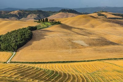 Italy, Tuscany, Province of Siena, Crete Senesi VII by Mikolaj Gospodarek multi panel art