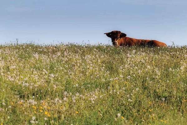 Mikolaj Gospodarek: Poland, Podlaskie Voivodeship, Suwalskie / Suwalszczyzna II by Mikolaj Gospodarek