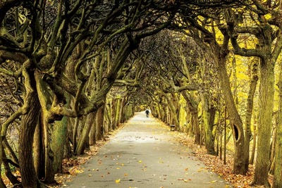 Europe, Poland, Pomerania, Gdansk/Danzig, Oliwa Park by Mikolaj Gospodarek multi panel art