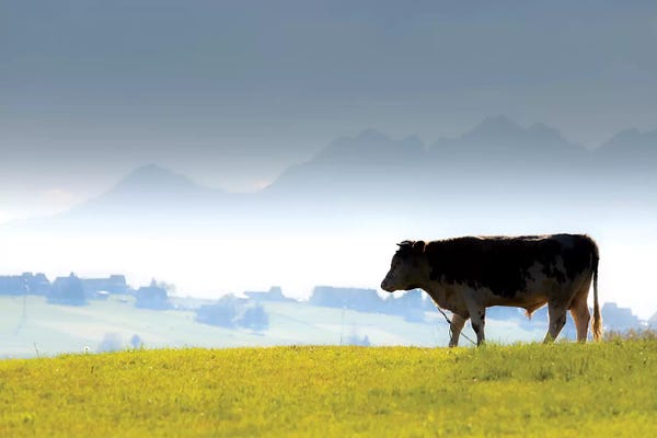 Mikolaj Gospodarek: Europe, Poland, Lesser Poland, Tatra Mountains / Podhale I by Mikolaj Gospodarek