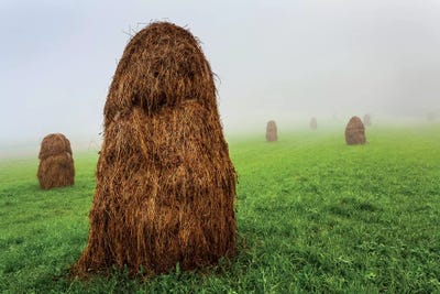 Europe, Poland, Lesser Poland, Pieniny I by Mikolaj Gospodarek multi panel art