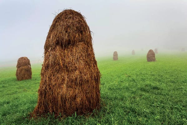Mikolaj Gospodarek: Europe, Poland, Lesser Poland, Pieniny I by Mikolaj Gospodarek