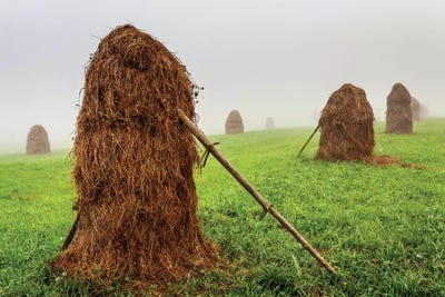 Europe, Poland, Lesser Poland, Pieniny II by Mikolaj Gospodarek multi panel art