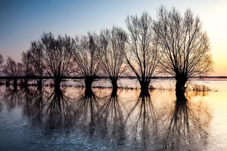 Europe, Poland, Podlaskie, Biebrza River