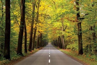 Europe, Poland, Opole Voivodeship by Mikolaj Gospodarek multi panel art