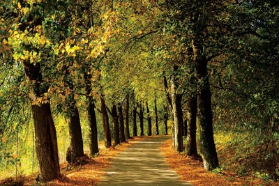 Europe, Poland, Lower Silesia by Mikolaj Gospodarek multi panel art