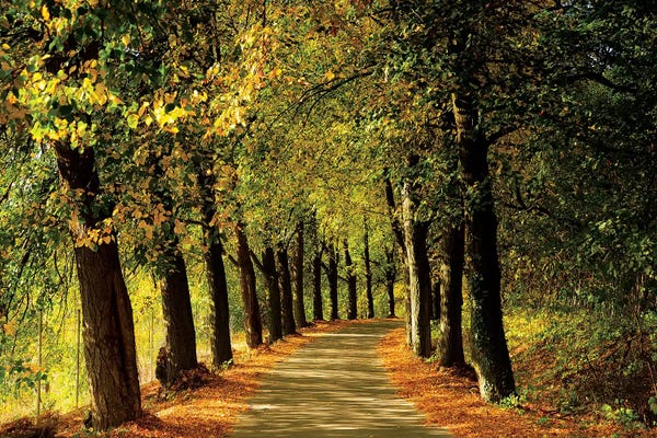 Mikolaj Gospodarek: Europe, Poland, Lower Silesia by Mikolaj Gospodarek