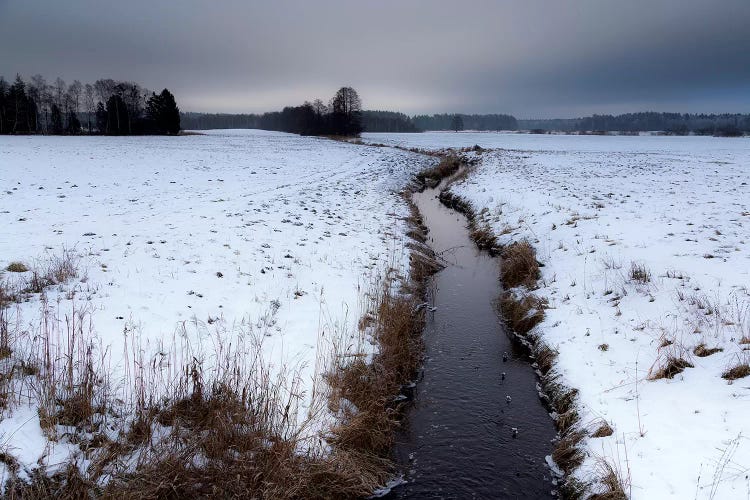 Europe, Poland, Podlaskie, River