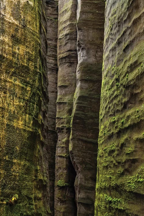 Czech Republic, Adršpach-Teplice Rocks I