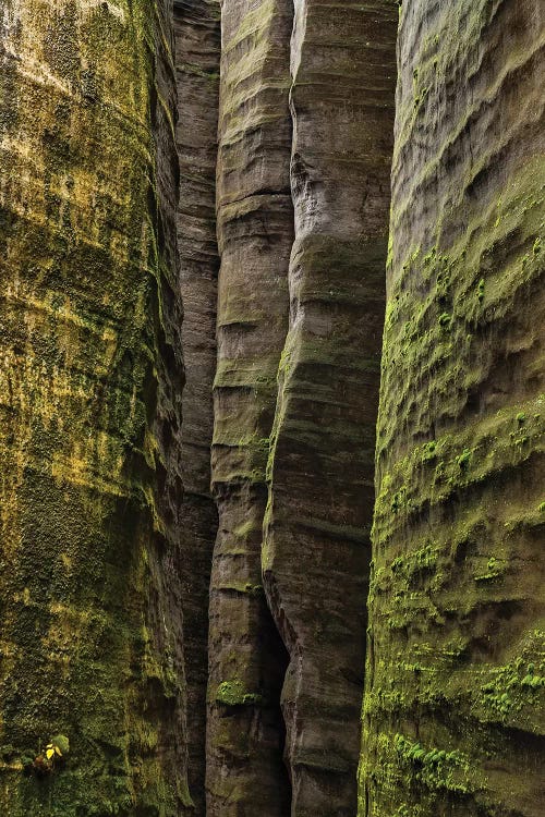 Czech Republic, Adršpach-Teplice Rocks I by Mikolaj Gospodarek wall art