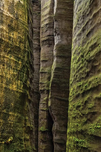 Czech Republic: Czech Republic, Adršpach-Teplice Rocks I by Mikolaj Gospodarek