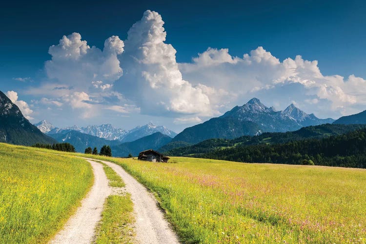 Germany, Alps, Bavaria, Buckelwiesen bei Mittenwald