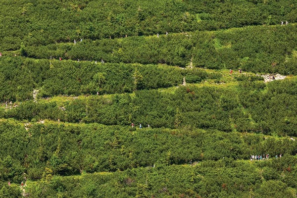 Bavaria: Germany, Alps, Bavaria, Herzogstand by Mikolaj Gospodarek