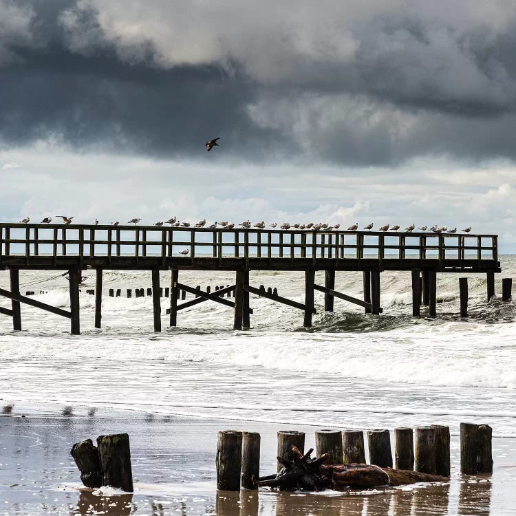 Poland, Baltic Sea II