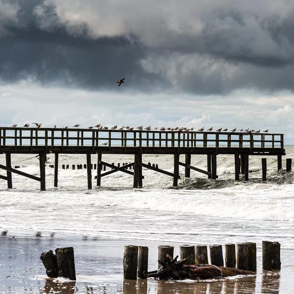 Poland: Poland, Baltic Sea II by Mikolaj Gospodarek