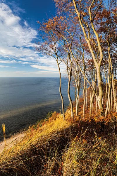 Poland: Poland, Baltic Sea IX by Mikolaj Gospodarek