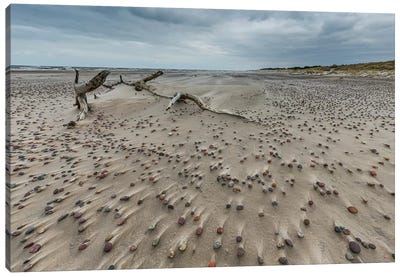 Poland, Baltic Sea, Slowinski National Park I Canvas Art Print - Coastal Sand Dune Art