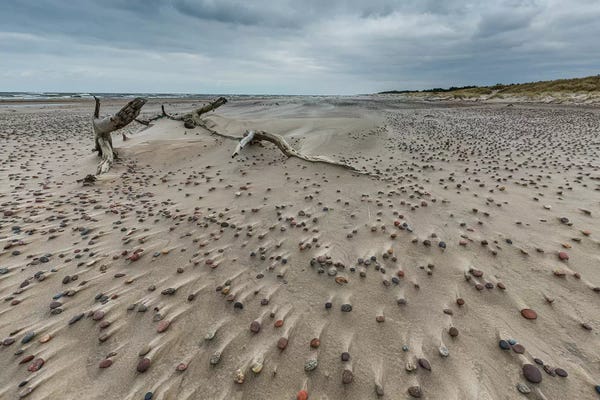Mikolaj Gospodarek: Poland, Baltic Sea, Slowinski National Park I by Mikolaj Gospodarek