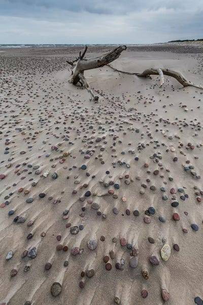 Mikolaj Gospodarek: Poland, Baltic Sea, Slowinski National Park II by Mikolaj Gospodarek