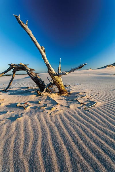 Poland: Poland, Baltic Sea, Slowinski National Park III by Mikolaj Gospodarek