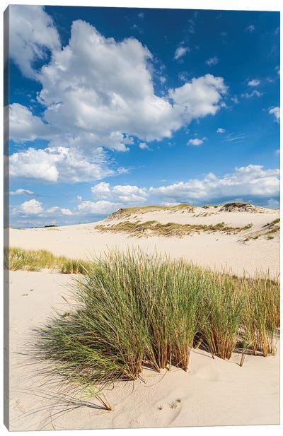 Poland, Baltic Sea, Slowinski National Park IV Canvas Art Print - Coastal Sand Dune Art