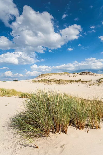 Coastal Sand Dunes: Poland, Baltic Sea, Slowinski National Park IV by Mikolaj Gospodarek