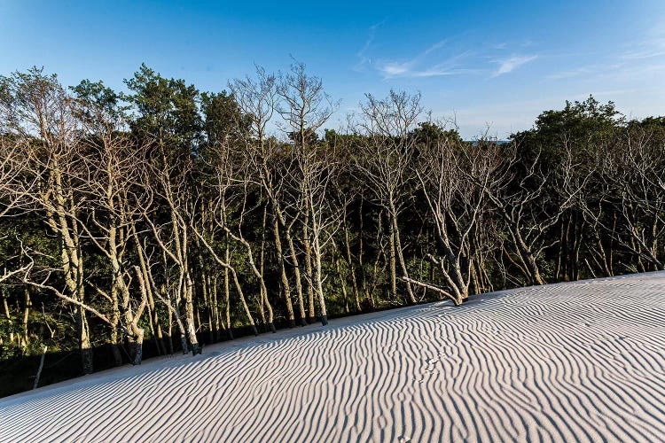 Poland, Baltic Sea, Slowinski National Park V