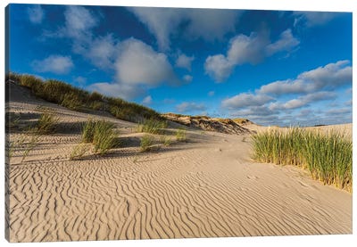 Poland, Baltic Sea, Slowinski National Park VI Canvas Art Print - Coastal Sand Dune Art